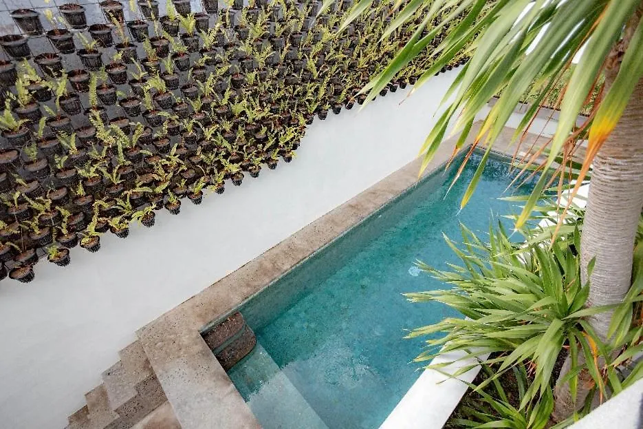 The Drupadi Apartments Studio Peka 세미냑